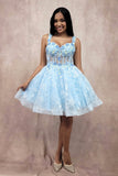 Chicas Evening Gowns C352