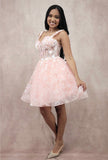 Chicas Evening Gowns C352