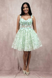 Chicas Evening Gowns C352