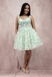 Chicas Evening Gowns C352