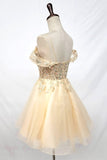 Chicas Evening Gowns C359