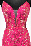 Chicas Evening Gowns C369