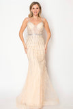 Chicas Evening Gowns C827