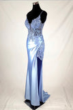 Chicas Evening Gowns D501