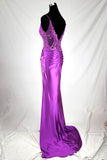 Chicas Evening Gowns D501