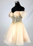Chicas Evening Gowns C363
