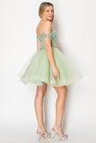 Chicas Evening Gowns C356