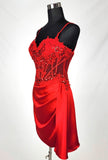 Chicas Evening Gowns C355