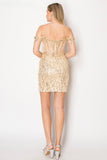 Chicas Evening Gowns C351