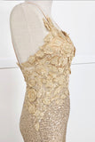 Chicas Evening Gowns C803