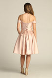 Chicas Evening Gowns C7514