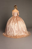 Chicas Evening Gowns BT9013