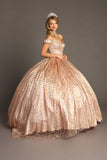 Chicas Evening Gowns BT9013