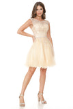 Lenovia Dama Dress 8177