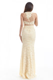 Chicas Evening Gowns CR4225