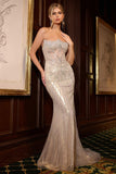LaDivine by Cinderella Divine Evening Gown CD756