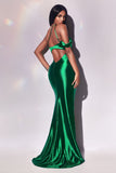LaDivine by Cinderella Divine Evening Gown  Y025