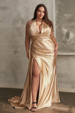 LaDivine by Cinderella Divine Evening Gown CH079C