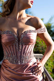 Lenovia Evening Gowns 8485