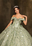 MayQueen  Quinceañera Dress LK277