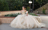 MayQueen  Quinceañera Dress LK275