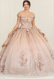 MayQueen Quinceañera Dress LK255