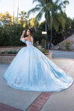 MayQueen Quinceañera Dress LK245