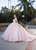 MayQueen Quinceañera Dress LK246