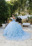 MayQueen Quinceañera Dress LK247
