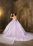 MayQueen Quinceañera Dress LK276
