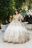 MayQueen Quinceañera Dress LK261