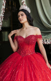 MayQueen Quinceañera Dress LK264