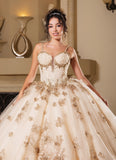 MayQueen Quinceañera Dress LK282