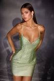 LaDivine by Cinderella Divine Evening Gown CD2424