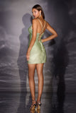 LaDivine by Cinderella Divine Evening Gown CD2424