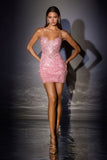 LaDivine by Cinderella Divine Evening Gowns CC501