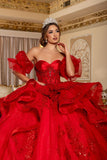 MayQueen  Quinceañera Dress LK289