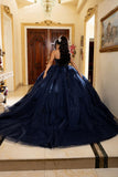 MayQueen  Quinceañera Dress LK288