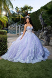 MayQueen  Quinceañera Dress LK290