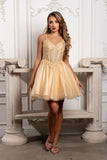 MayQueen Dama Dress MQ2231