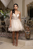 MayQueen Dama Dress MQ2192