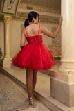 MayQueen Dama Dress MQ2192