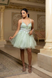MayQueen Dama Dress MQ2192