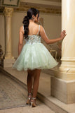 MayQueen Dama Dress MQ2192