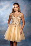 MayQueen Dama Dress MQ2246