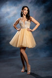 MayQueen Dama Dress MQ2243