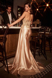 Ladivine  by Cinderella Divine Evening Gown CDS530