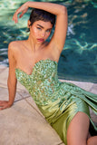 Ladivine  by Cinderella Divine Evening Gown CDS530
