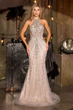 La Divine by Cinderella Divine Evening Gown CC8281