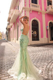 Nox Anabel Evening Gown C1416
